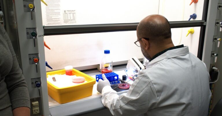 피츠버그 연구 기관은 국립 과학 재단의 자금 삭감을 차단하기 위해 고소합니다.
    


