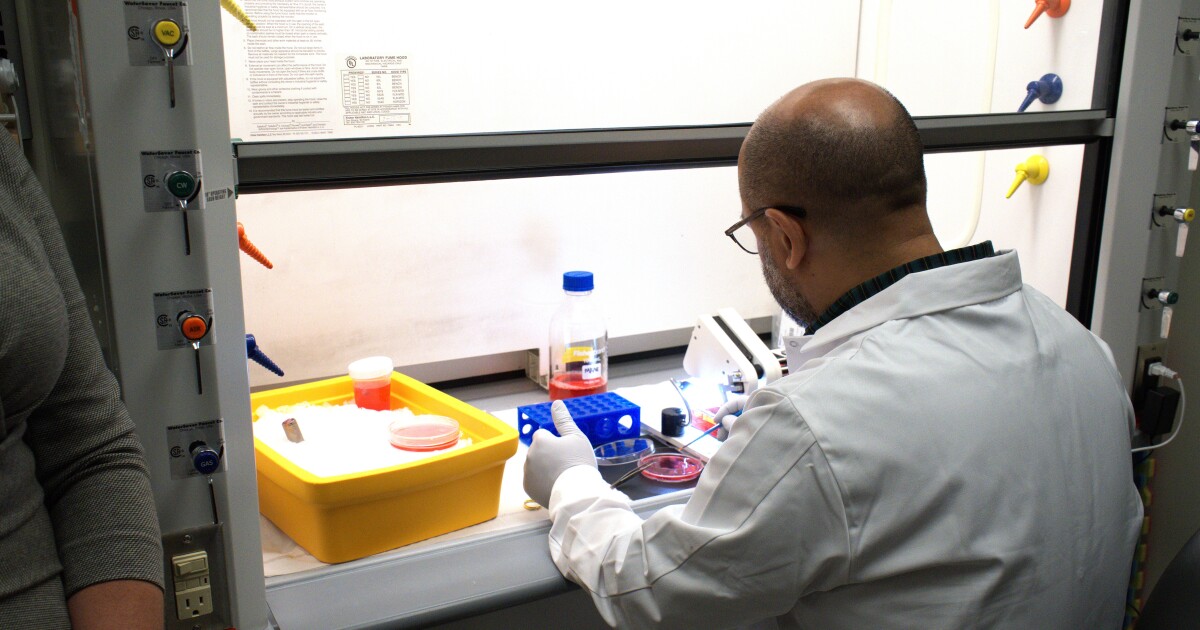 피츠버그 연구 기관은 국립 과학 재단의 자금 삭감을 차단하기 위해 고소합니다.