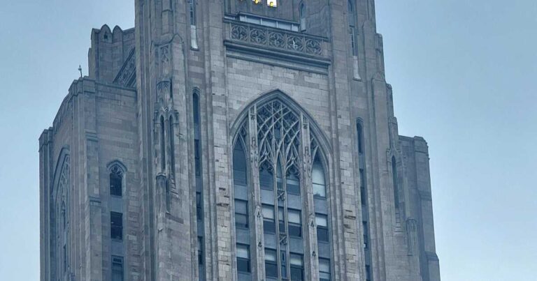 피츠버그의 국제 학생들은 상태가 복원 된 것을 본다
