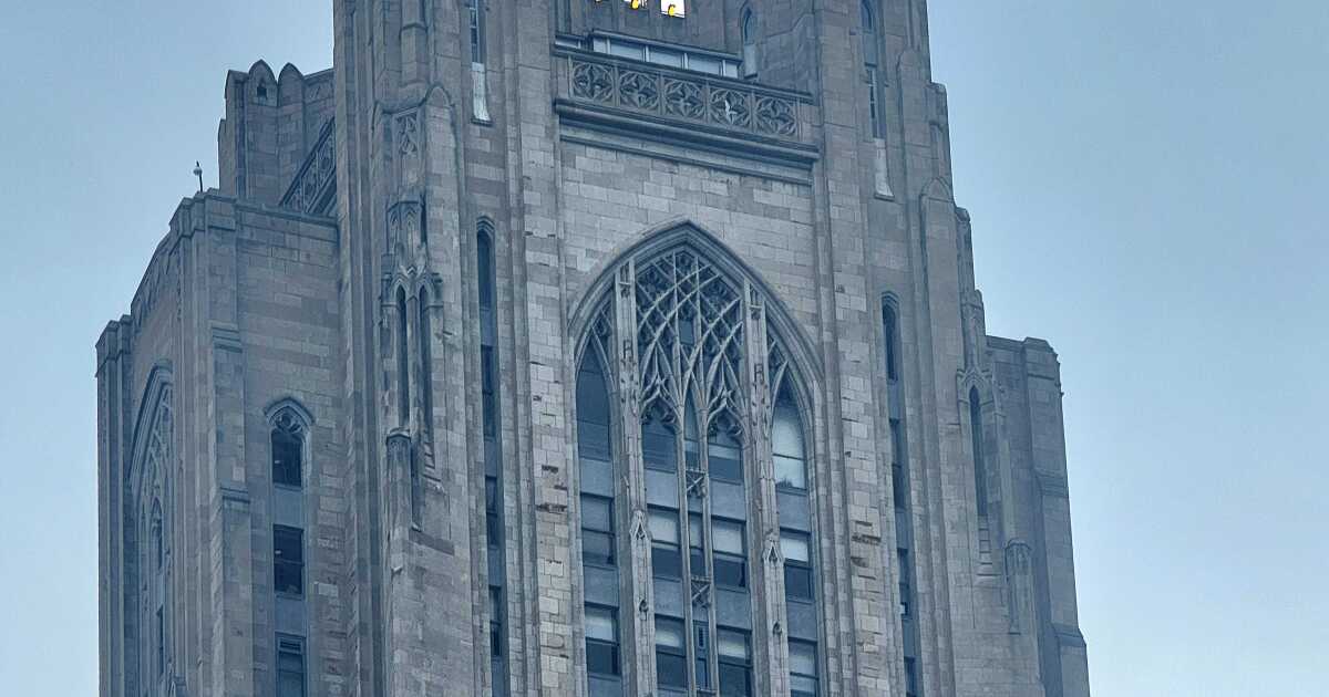 피츠버그의 국제 학생들은 상태가 복원 된 것을 본다