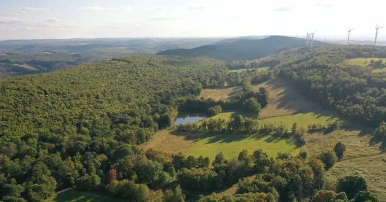 Nature Conservancy는 Allegheny Front에서 1,158 에이커를 보호합니다. 현재 Pa. Game Lands의 일부
    


