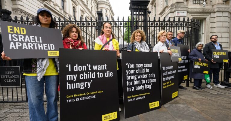 수백 명의 작가들이 가자 휴전 및 원조를 요구합니다
    


