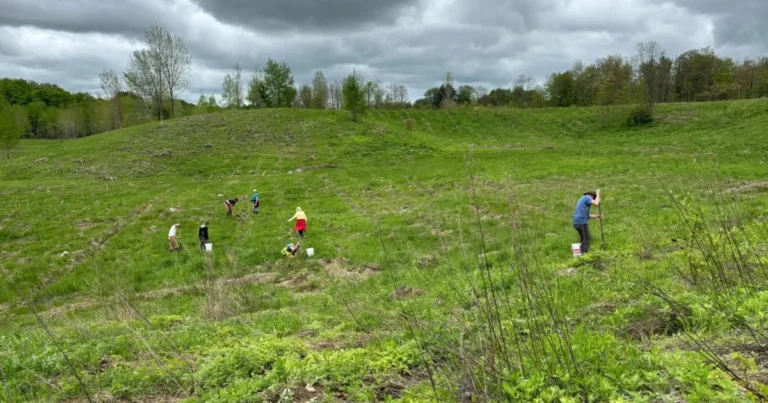 전 펜실베니아 자갈 광산은 Forestland로 두 번째 기회를 얻습니다.
    


