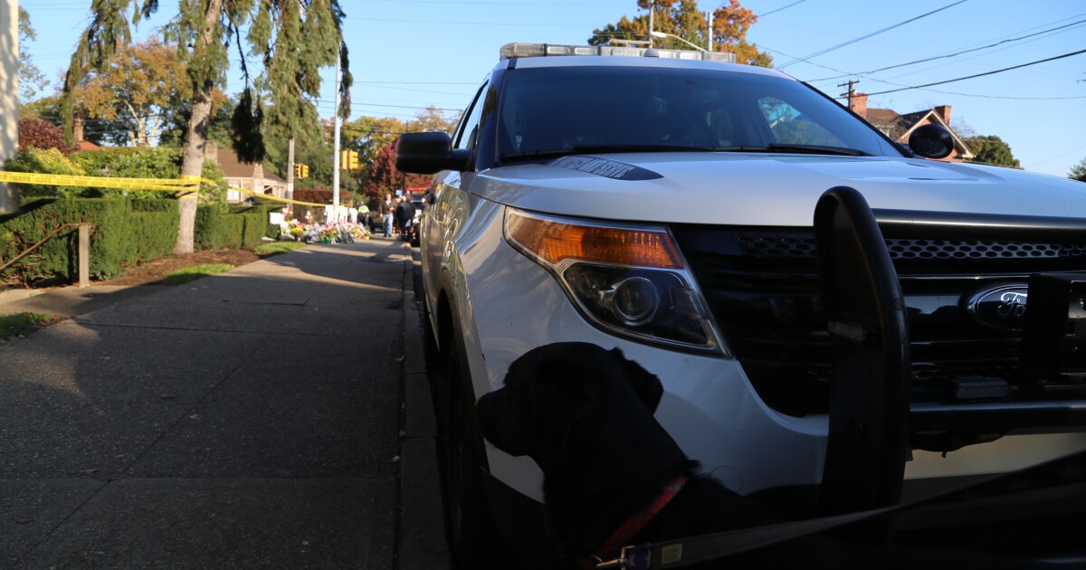 피츠버그 경찰은 Shadyside의 Squirrel Hill에있는 끈을 whing하는 반유대주의 자료로 오하이오 주인을 인용합니다.