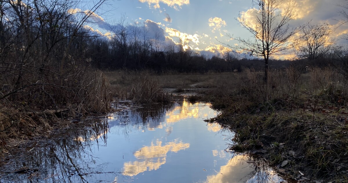 Swisshelm Park 슬래그 힙은 거의 정리되어 태양 화상을위한 준비