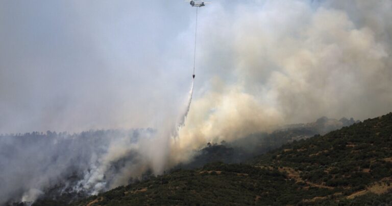 그리스의 산불은 대피를 제기한다. 소방관들은 시리아 터키에서 불꽃을 다루고 있습니다
