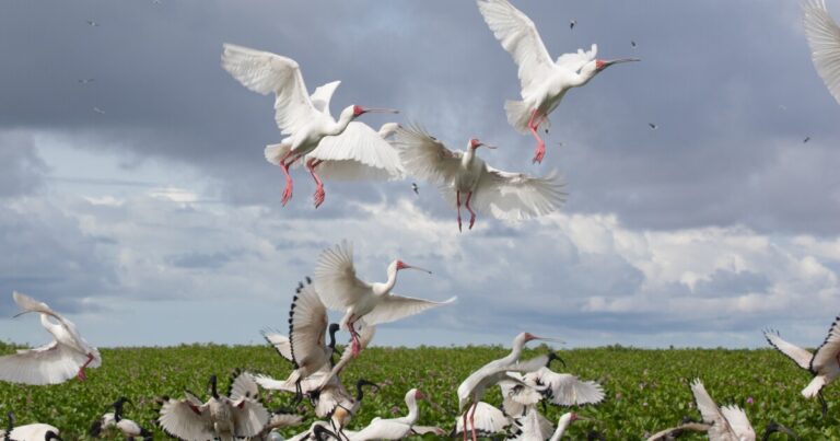 다음은 최신 유네스코 세계 문화 유산 중 일부입니다.
    


