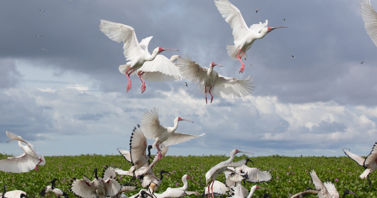 다음은 최신 유네스코 세계 문화 유산 중 일부입니다.