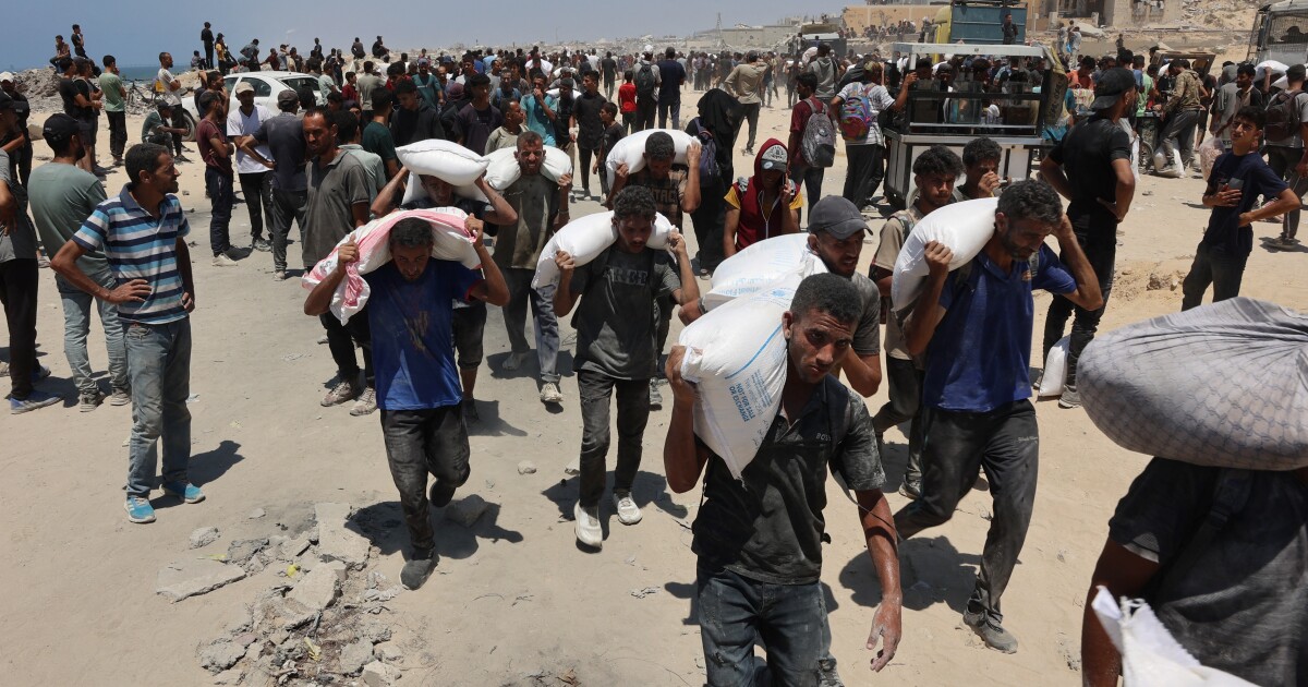 유엔에 대한 이스라엘 대표 가자에 대한 원조에 관한 질문