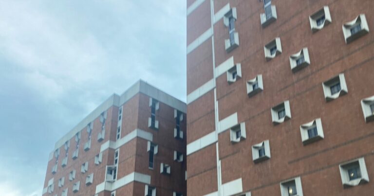 카운티 협의회는 Allegheny County Jail의 다리 족쇄 금지에 대한 논쟁을 듣습니다.
