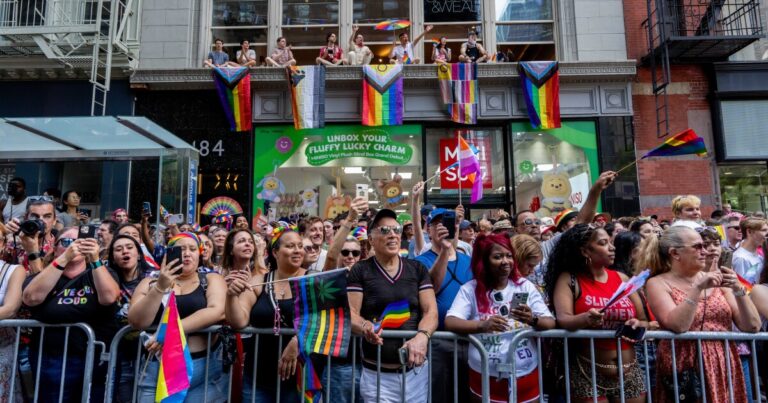 행진자들은 축하와 항의로 자부심을 모금합니다
