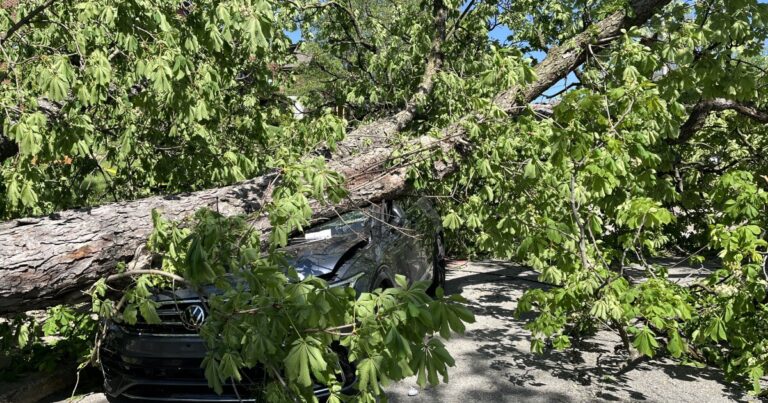 Allegheny 카운티 주민들은 새로운 기후 행동 계획에 대한 생각을 공유 할 수 있습니다.
    


