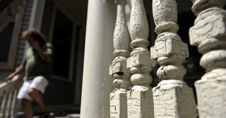 EPA는 국가가 운영하는 리드 페인트 프로그램을 적절히 감독하지 못했다고 보고서는 밝혔다.
    


