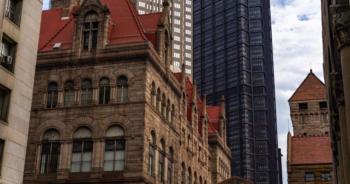 법원 도전에 직면 한 Green Party의 Gilliland는 카운티 협의회 경주에서 철수합니다.