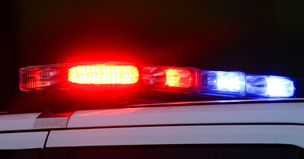 옹호자들은 체포에 대한 우려를 표현하고, 암 브리지의 얼음 활동 관찰자들을위한 보석법