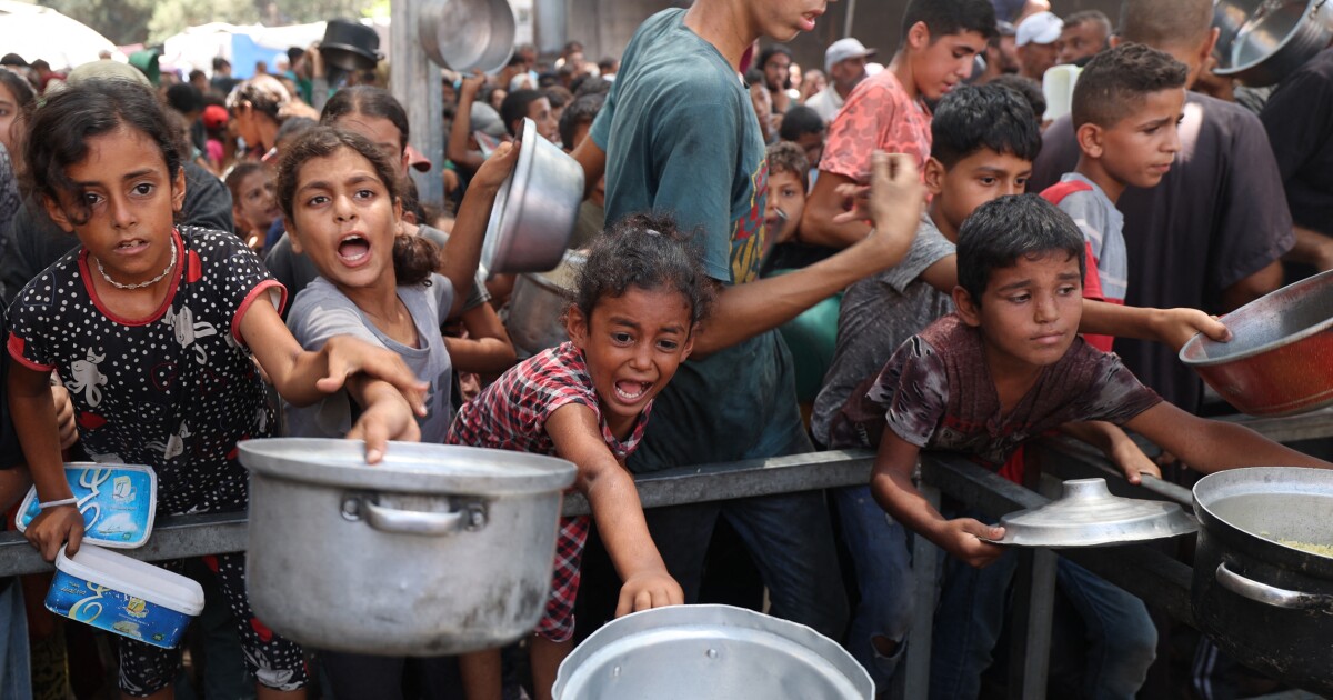 지원되지 않은 패널은 가자에서 기근을 확인합니다. 그리고, Doj는 의회에 엡스타인 문서를 보냈습니다