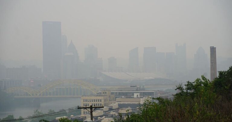캐나다 산불 연기가 남아있는 이유 (그리고 당신이 그것에 대해 할 수있는 일)
    


