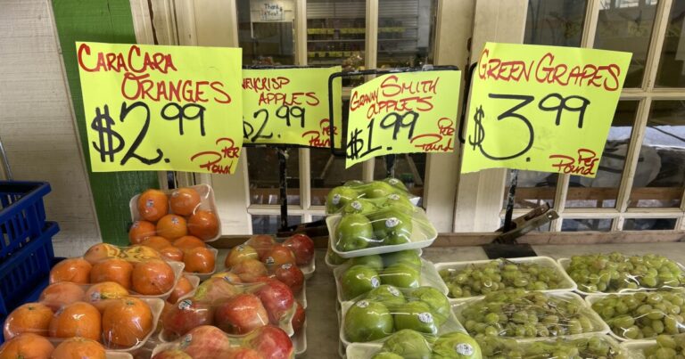 Lee, Innamorato는 제안 된 연방 삭감이 사회 복지 서비스에 대해 '파괴적 일 수 있다고 경고합니다.
    


