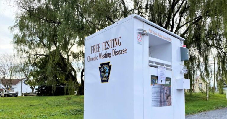 Pa. 사냥꾼이 사슴을 낭비하는지 확인할 수있는 곳은 다음과 같습니다.
    


