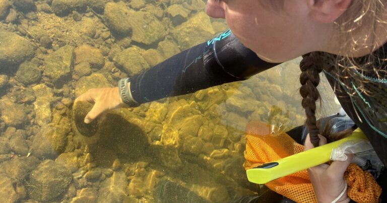 "강의 간"은 펜실베니아 남서부에서 복귀를하고 있습니다.
    


