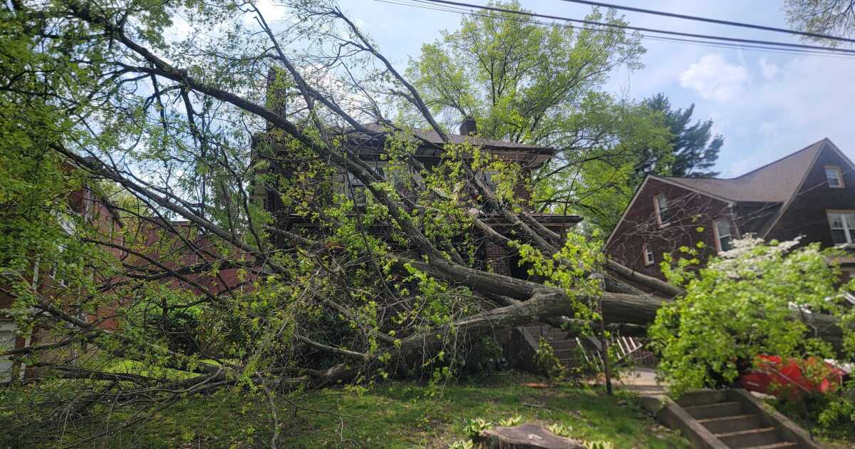 두 주 보고서에 따르면 피츠버그는 더 많은 정전, 더 높은 전기 요금을보고있다.