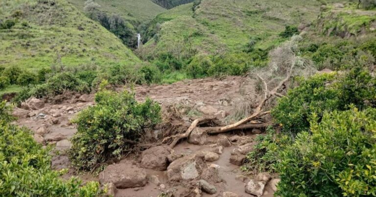 수단 산사태에서 1,000 명이 사망했습니다
    


