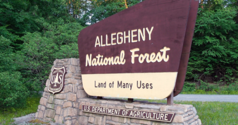 트럼프 행정부는 PA의 Allegheny National을 포함하여 미국 숲에서 도로가없는 통치를 끝내기를 원합니다.
    


