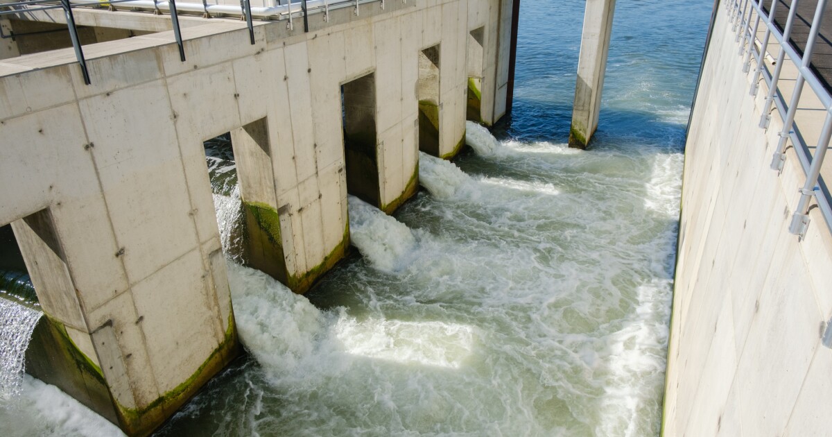플러시에서 강으로 : Alcosan의 처리 공장의 무대 뒤에서