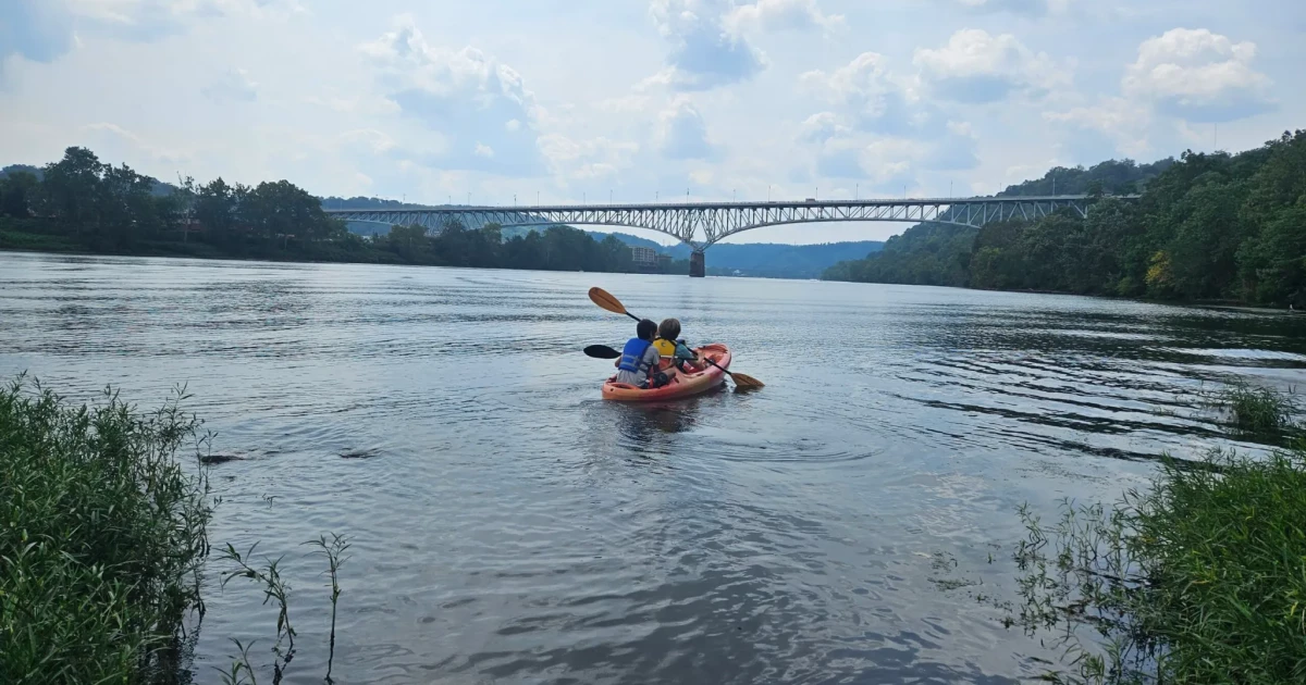 Mon : Muddy Water, Addlefish 및 하수 오버플로에서보기