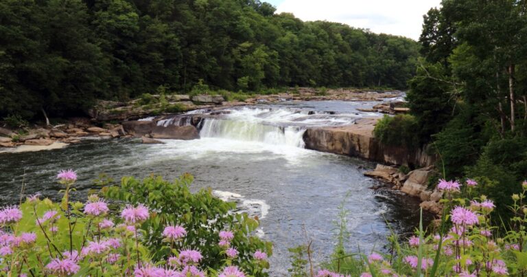 Pa. 주립 공원은 국립 공원에서 연방 삭감에 따라 방문객의 증가를 본다.
    


