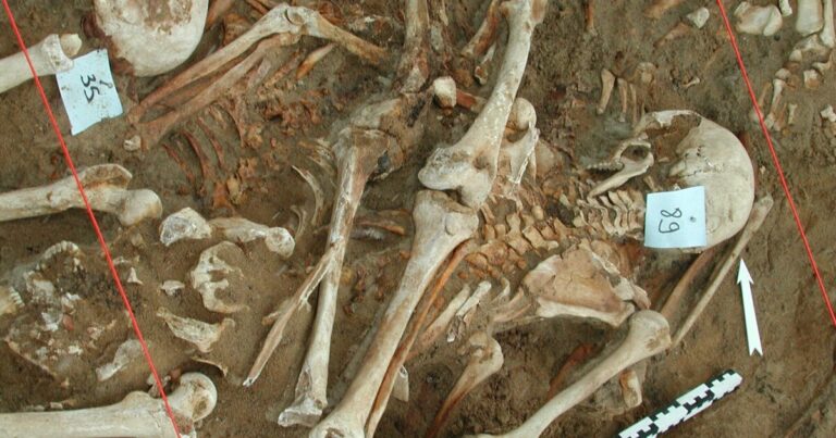 나폴레옹의 군대를 죽인 것은 무엇입니까? 과학자들은 전사한 군인의 치아에서 DNA에서 단서를 찾았습니다.
    


