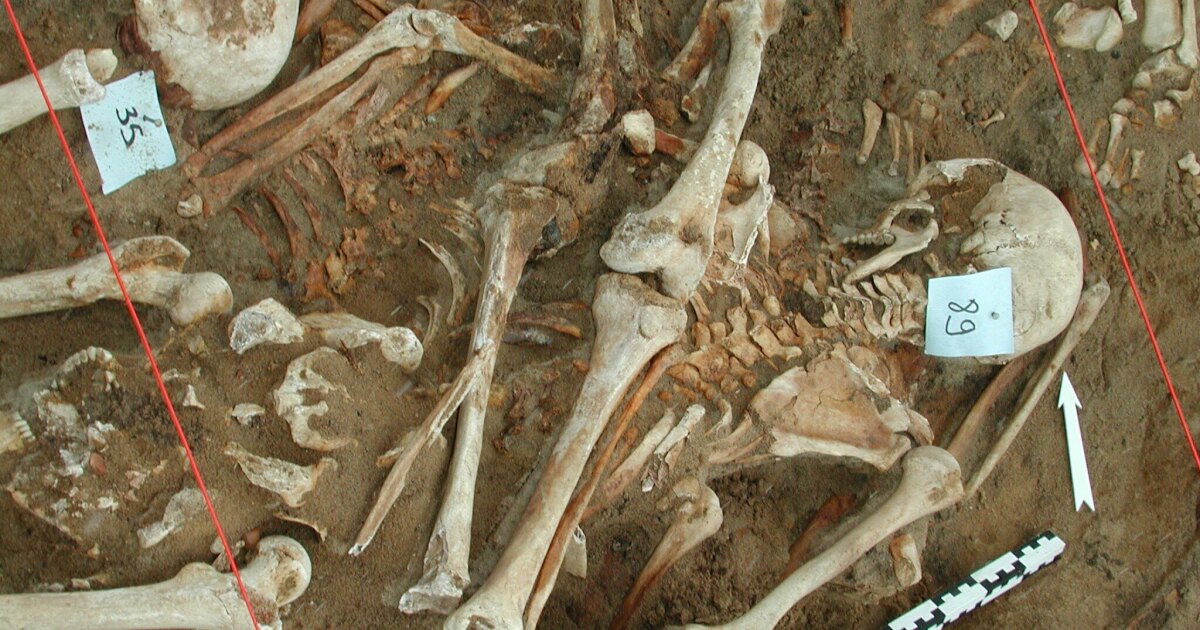 나폴레옹의 군대를 죽인 것은 무엇입니까? 과학자들은 전사한 군인의 치아에서 DNA에서 단서를 찾았습니다.