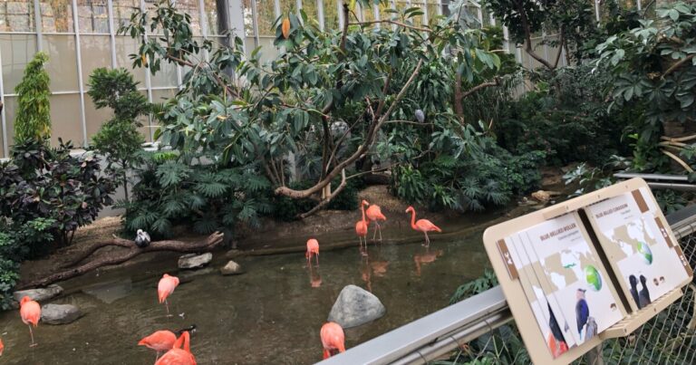 피츠버그의 지역 자산 지구 문제는 예비 예산을 기록합니다
    


