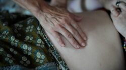 피츠버그 연구원은 임신 중 열을 치료하지 않으면 선천적 결함 위험이 높아질 수 있다고 경고합니다.