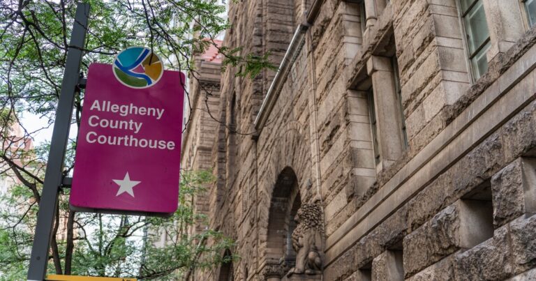 민주당 레이블, Allegheny County Common Pleas Court에서 후보자 제거
    


