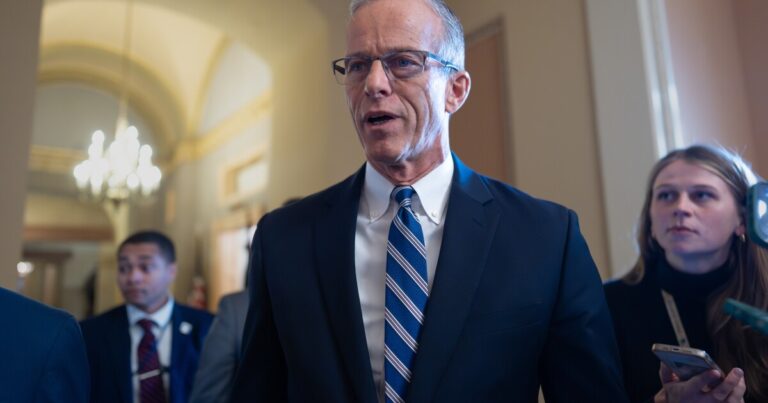 민주당의 소규모 그룹 파업 협상으로 상원 폐쇄를 종료하는 법안을 추진
    


