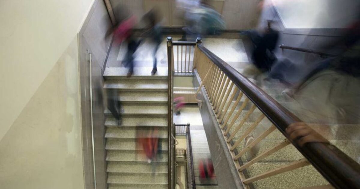 민주당이 파인-리치랜드와 펜실베니아 전역에서 교육위원회 선거를 휩쓸었습니다.