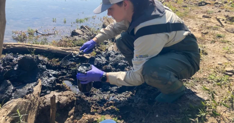 월요일 보고: 하천 감시견이 화학 폐기물을 추적합니다.
    


