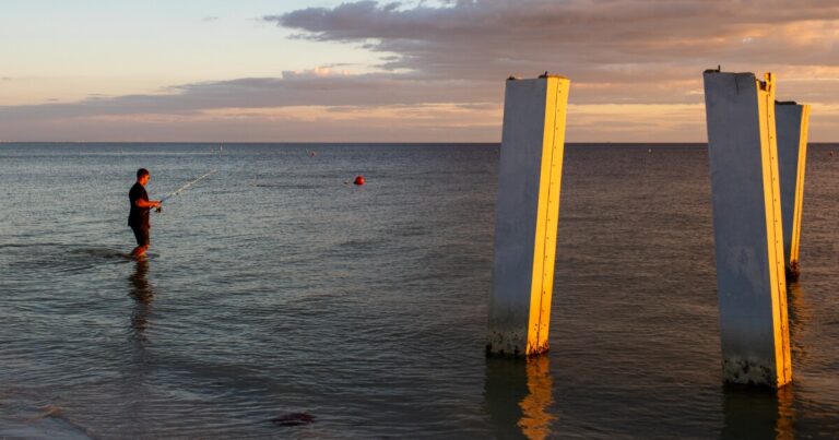 재해 및 보험 비용이 증가하고 있습니다. 중산층은 버티기 힘들다
    


