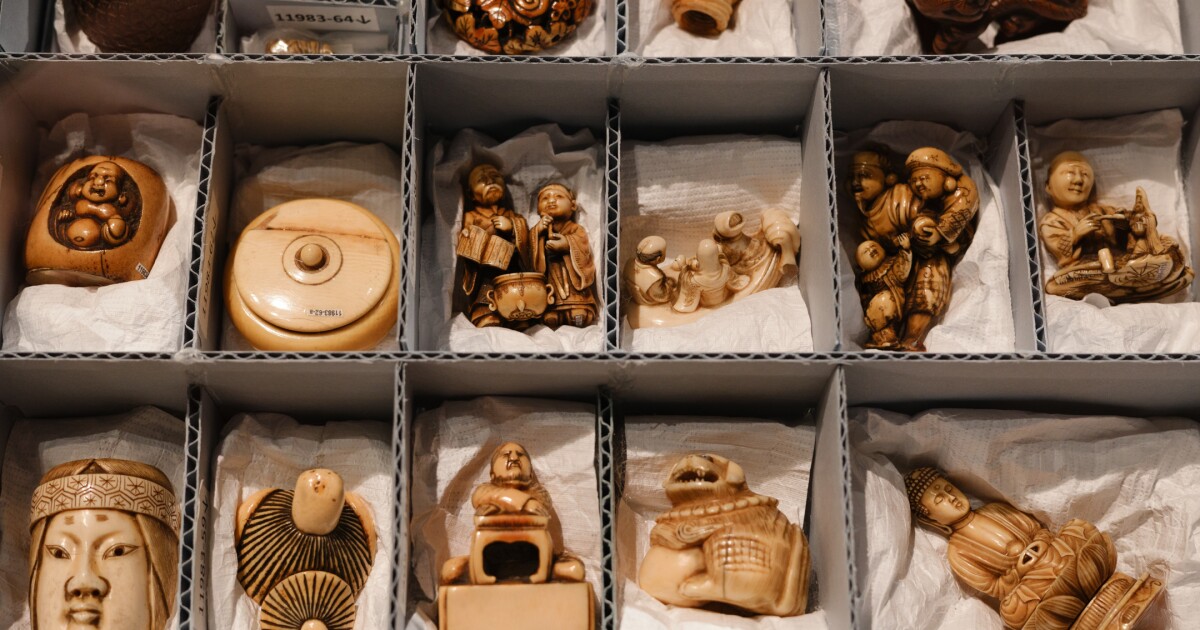 카네기 자연사 박물관의 최신 Stories-We-Keep 전시회에서 숨겨진 역사 공개