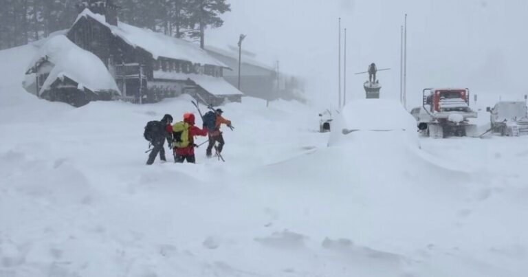 캘리포니아 눈사태로 백컨트리 스키어 8명 숨지고 1명 실종
    


