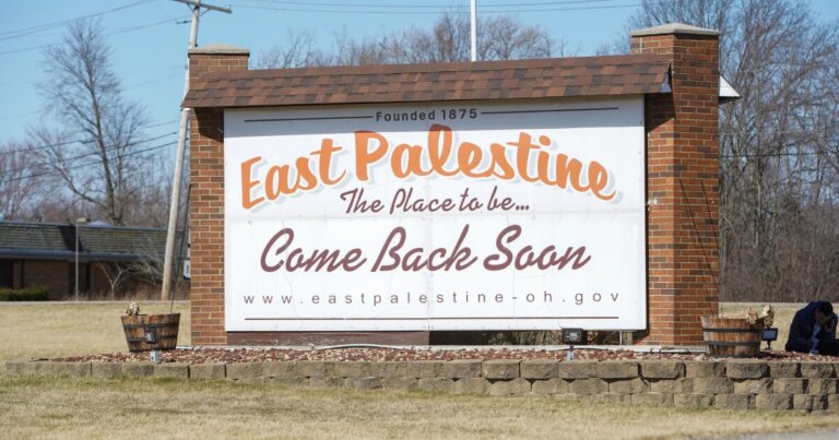 팔레스타인 동부 열차 탈선 후 주민들의 증상을 기록하는 새로운 추적기, 시험 목표
    


