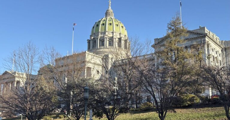 펜실베니아 학교에서 필기체 필기가 다시 시작됩니다
    


