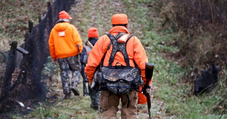 펜실베이니아주 상원의 제안은 총기 사슴 시즌 시작일을 추수감사절 이후 월요일로 연기하는 것입니다.
    


