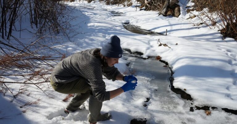 피츠버그 공항의 '위험' 수준의 PFAS가 Montour Run 유역으로 배출되고 있습니다.
    


