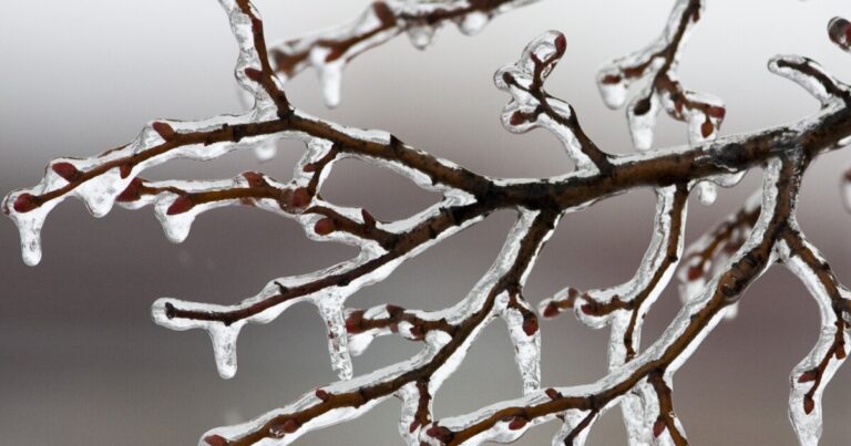 피츠버그의 체감온도는 토요일 영하 20도, 일요일은 별로 나아지지 않았습니다.
    



