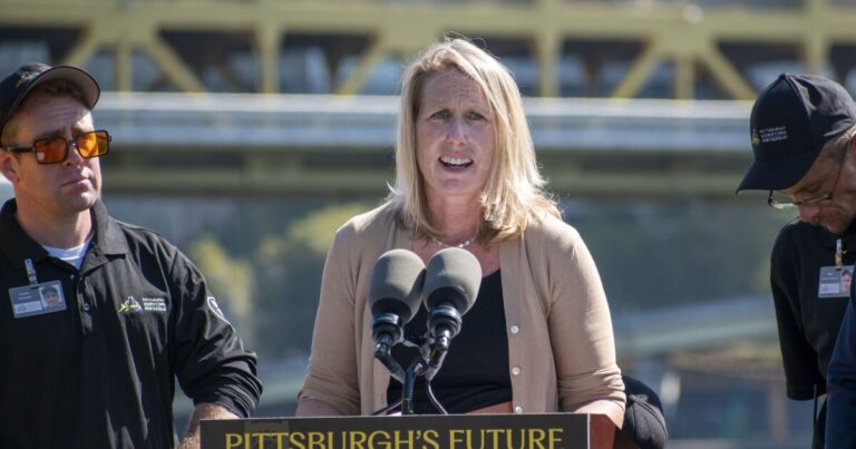 Allegheny 카운티의 Erin Dalton은 뉴욕에서 도시의 사회 복지 서비스를 운영하는 Mamdani와 함께 일합니다.
    


