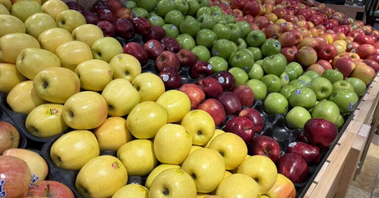 SNAP 혜택의 전자 도난에 직면한 버틀러 주민들은 '배고프다'
    


