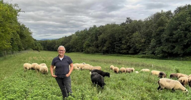 USDA는 펜실베니아 지속 가능한 농장 그룹과 5,900만 달러 규모의 계약을 복원했습니다.
    


