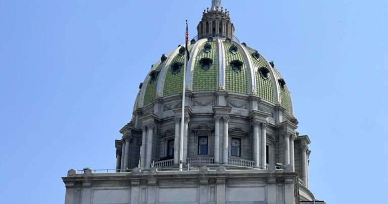 '빅토리아법'은 펜실베니아주 강아지 공장에서 사육되는 동물의 판매를 금지하는 것을 목표로 하고 있습니다.
    


